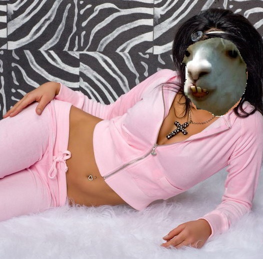 Dziewczyna Lama 2