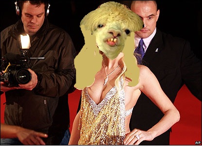 Paris Hillton Lama 2