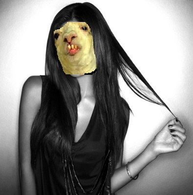Dziewczyna Lama