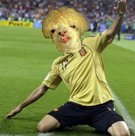 Lama na meczu!