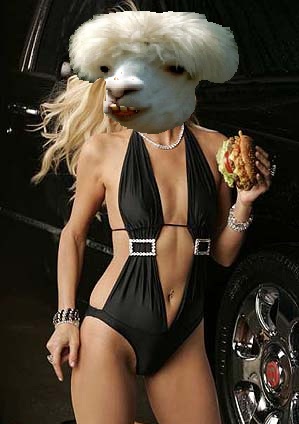 Paris Hillton Lama