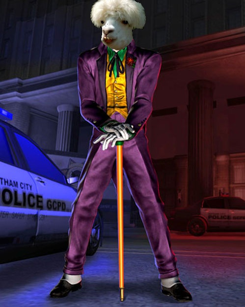 Joker Lama