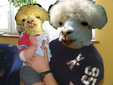 Lama z dzieckiem